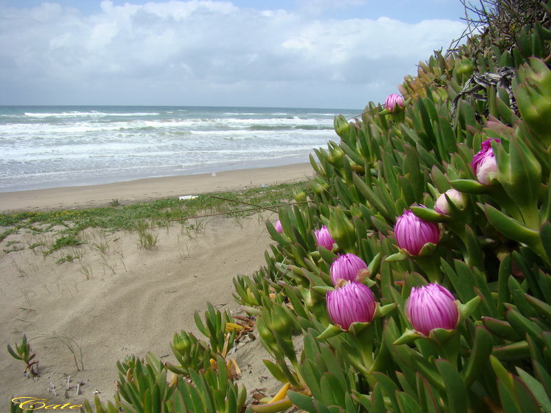 Parco nazionale del Circeo